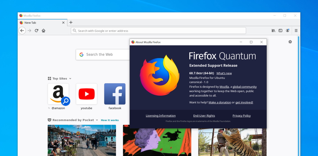 firefox esr 17.0.2 download