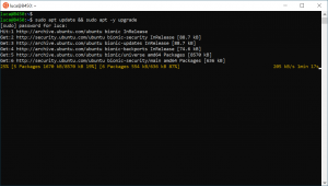 X410 - X Server for Windows 10