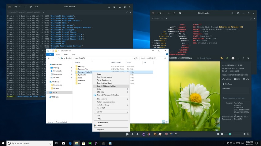 Что такое версия dev windows 10